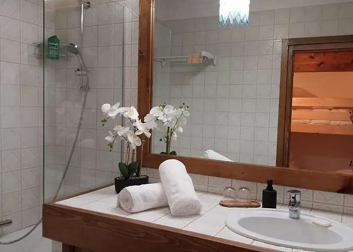 F1 Confort Skis Aux Pieds 公寓 *