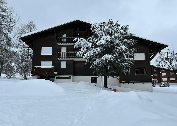 F1 Confort Skis Aux Pieds 公寓